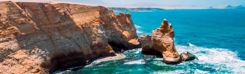 Tour Paracas Ica Full Day